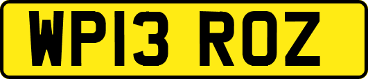 WP13ROZ