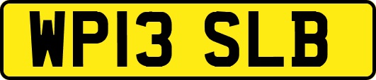 WP13SLB