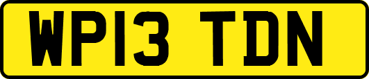 WP13TDN