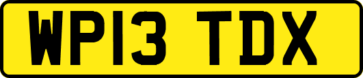 WP13TDX