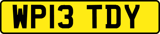 WP13TDY