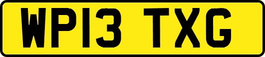 WP13TXG