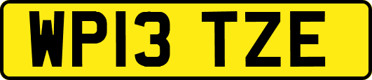 WP13TZE