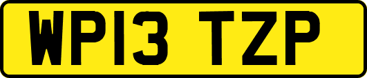 WP13TZP