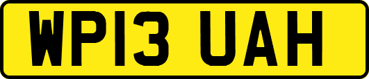 WP13UAH