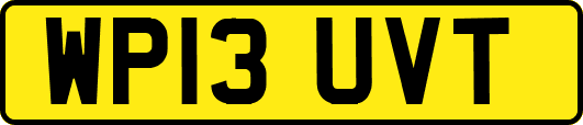 WP13UVT