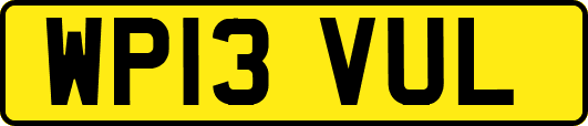WP13VUL