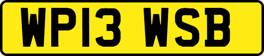 WP13WSB