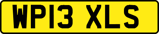 WP13XLS