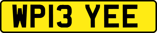 WP13YEE