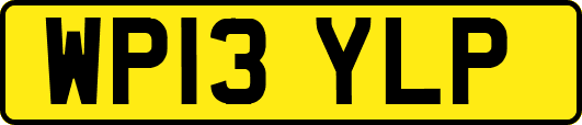 WP13YLP