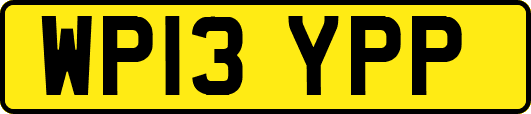 WP13YPP