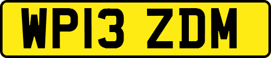 WP13ZDM