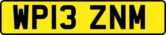 WP13ZNM