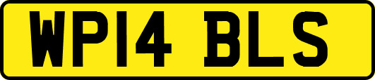 WP14BLS