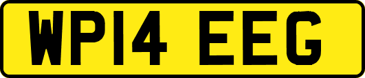WP14EEG