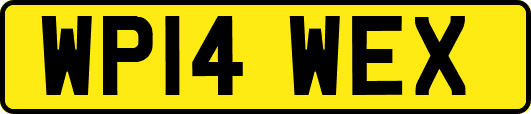 WP14WEX