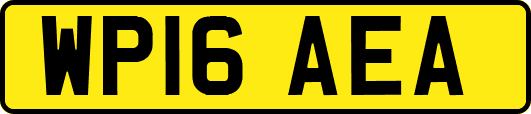 WP16AEA