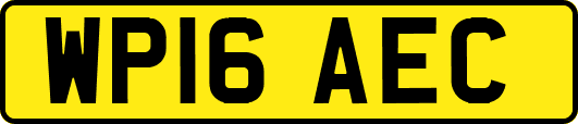 WP16AEC