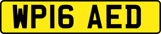 WP16AED