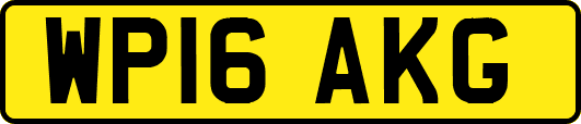 WP16AKG