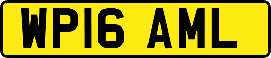 WP16AML