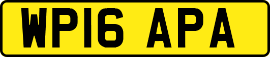 WP16APA