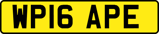 WP16APE