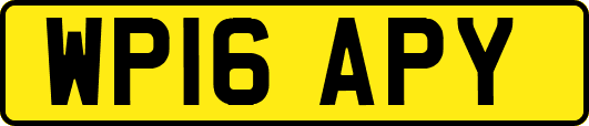 WP16APY