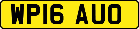 WP16AUO