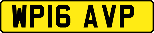 WP16AVP