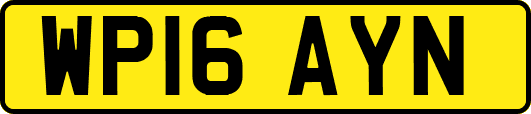 WP16AYN