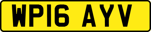 WP16AYV
