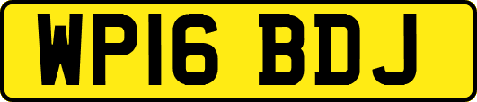WP16BDJ