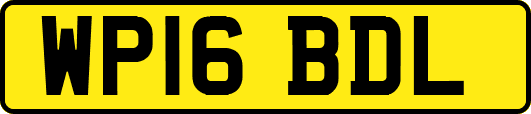 WP16BDL