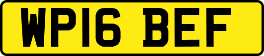 WP16BEF