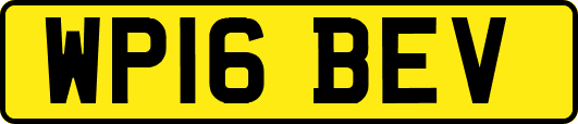 WP16BEV