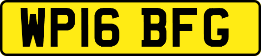 WP16BFG