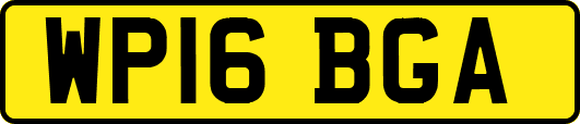 WP16BGA