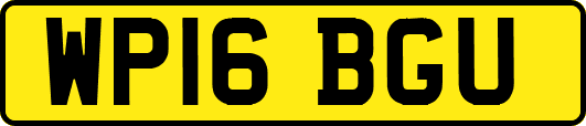 WP16BGU