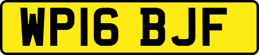 WP16BJF