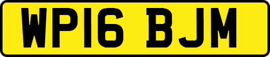 WP16BJM