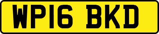 WP16BKD