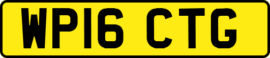 WP16CTG