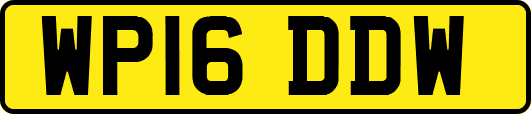 WP16DDW