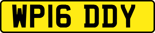 WP16DDY