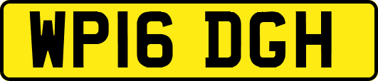 WP16DGH