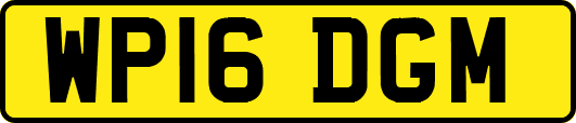 WP16DGM