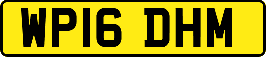 WP16DHM