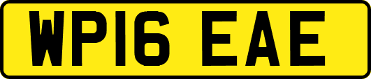 WP16EAE